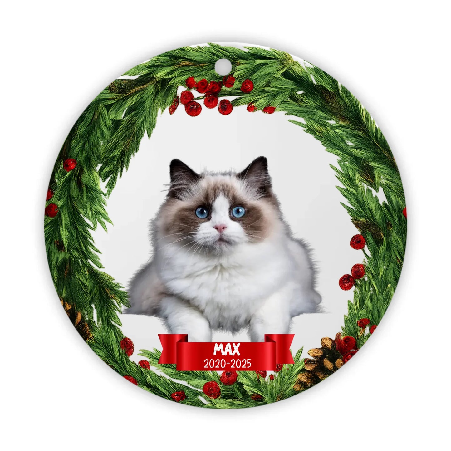 In Loving Memory Pet Photo Personalised Round Hanging Ceramic