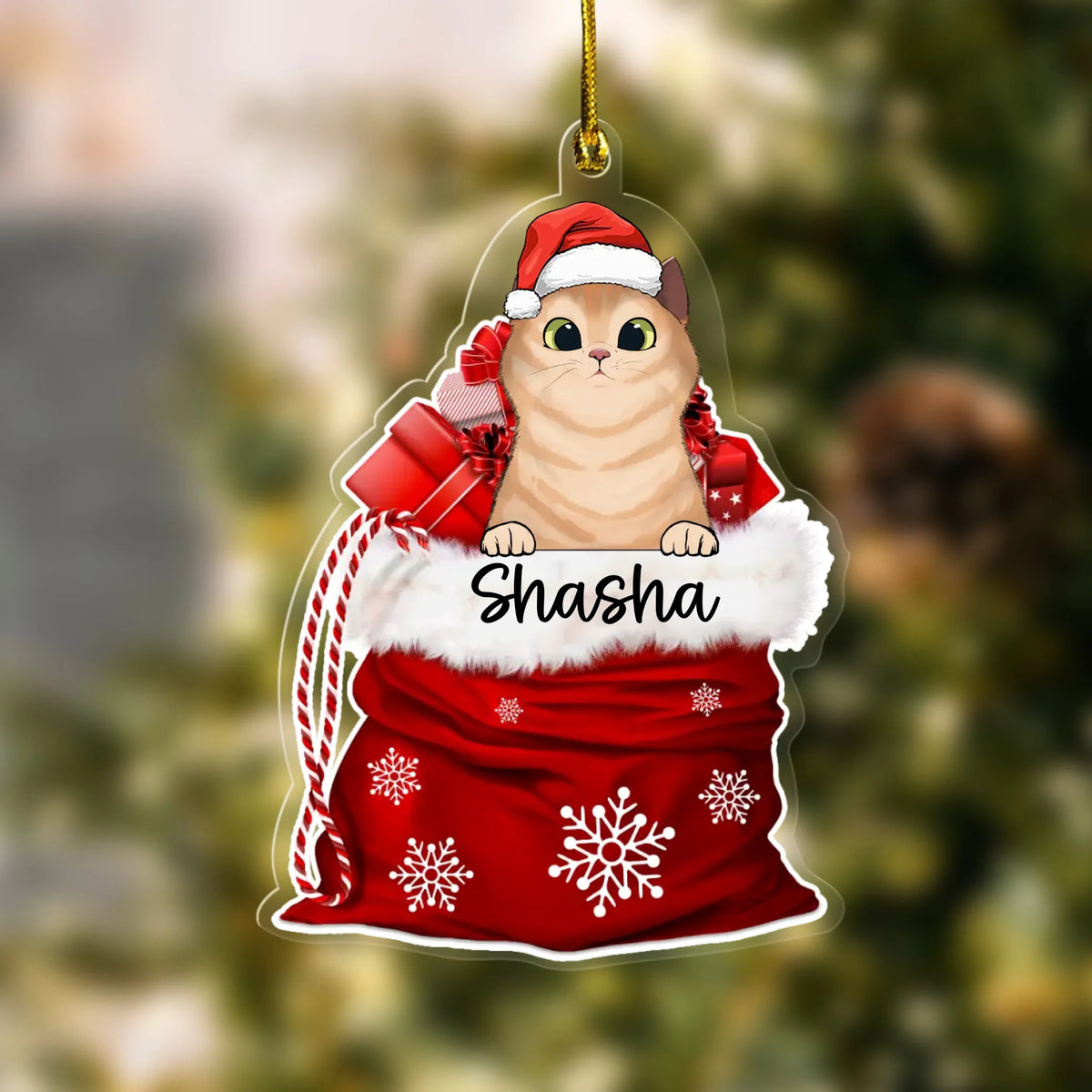 Christmas Cat in Santa Sack Personalised Acrylic Hanging Ornament