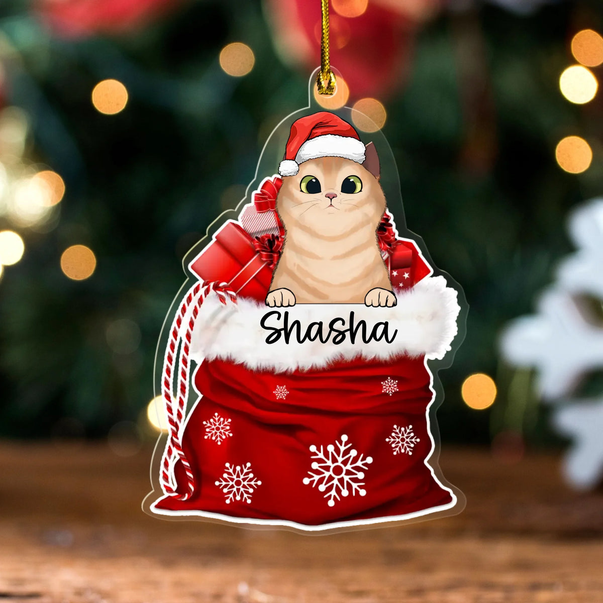 Christmas Cat in Santa Sack Personalised Acrylic Hanging Ornament