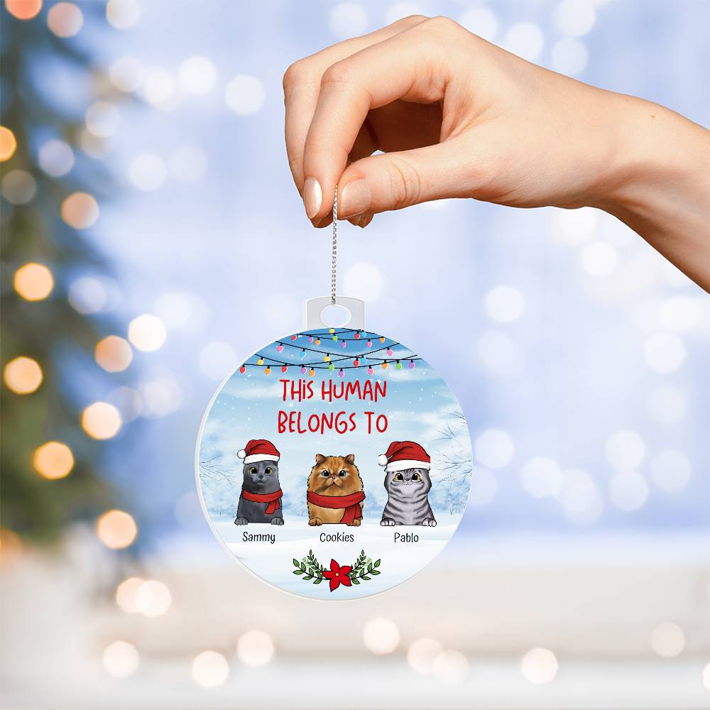 Christmas This Human Belongs To Personalised Cat Acrylic Hanging Ornament