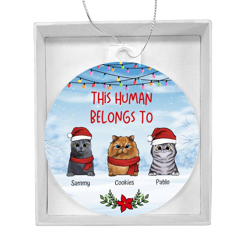 Christmas This Human Belongs To Personalised Cat Acrylic Hanging Ornament