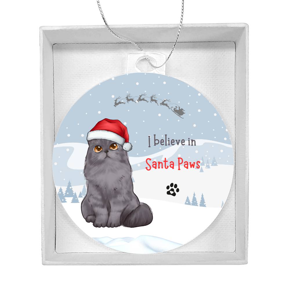 Christmas I believe in Santa Paws Personalised Hanging Acrylic Tree Ornament