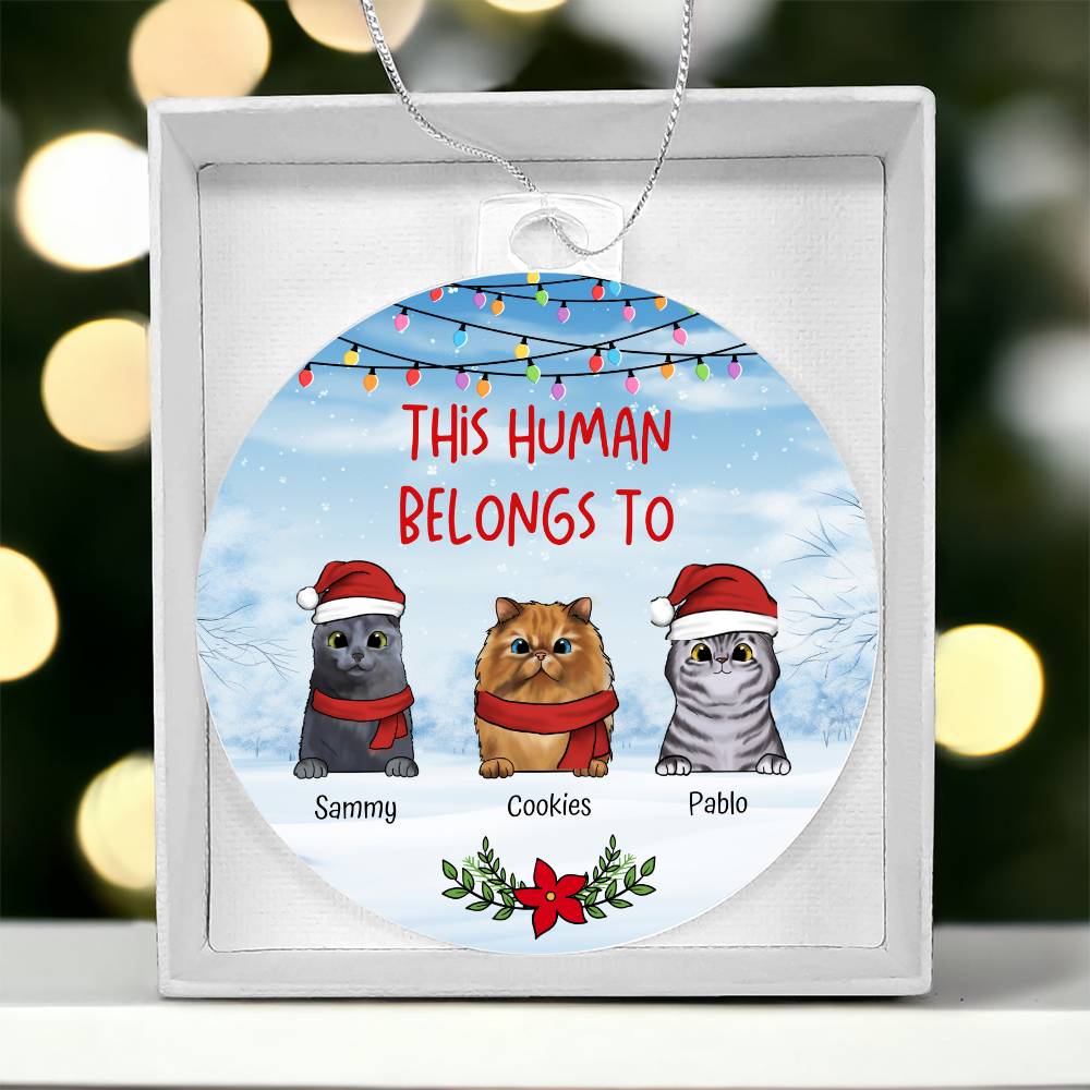 Christmas This Human Belongs To Personalised Cat Acrylic Hanging Ornament