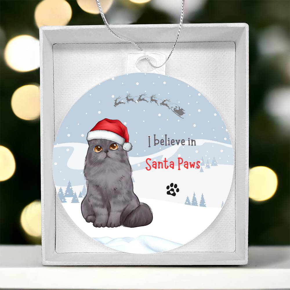 Christmas I believe in Santa Paws Personalised Hanging Acrylic Tree Ornament